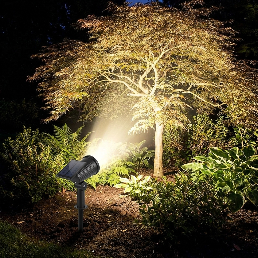 Solar spotlight illuminating garden tree at night