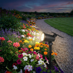 Solar spotlight on flower border garden path