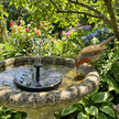 Solar fountain in garden birdbath with robin