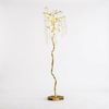 Aqua Babylonica - studio white