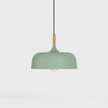 Acorn Pendant Light