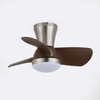Aero Echo Ceiling Fan Light