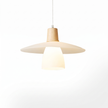 Frosted Glass Wood Rim Pendant Light