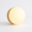 Opal Acrylic Disc Wall Light