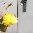 Modern Adjustable Gooseneck LED Reading Wall Sconce