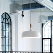 Oak & Zinc Acorn Pendant Light